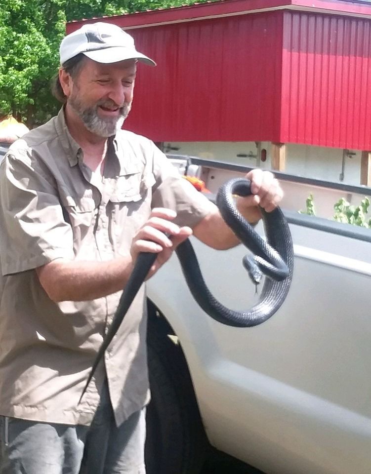 Brian black snake